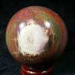 Colorful Petrified Wood Sphere #20617-1